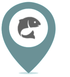 Turismo de Pesca - Sinop-MT